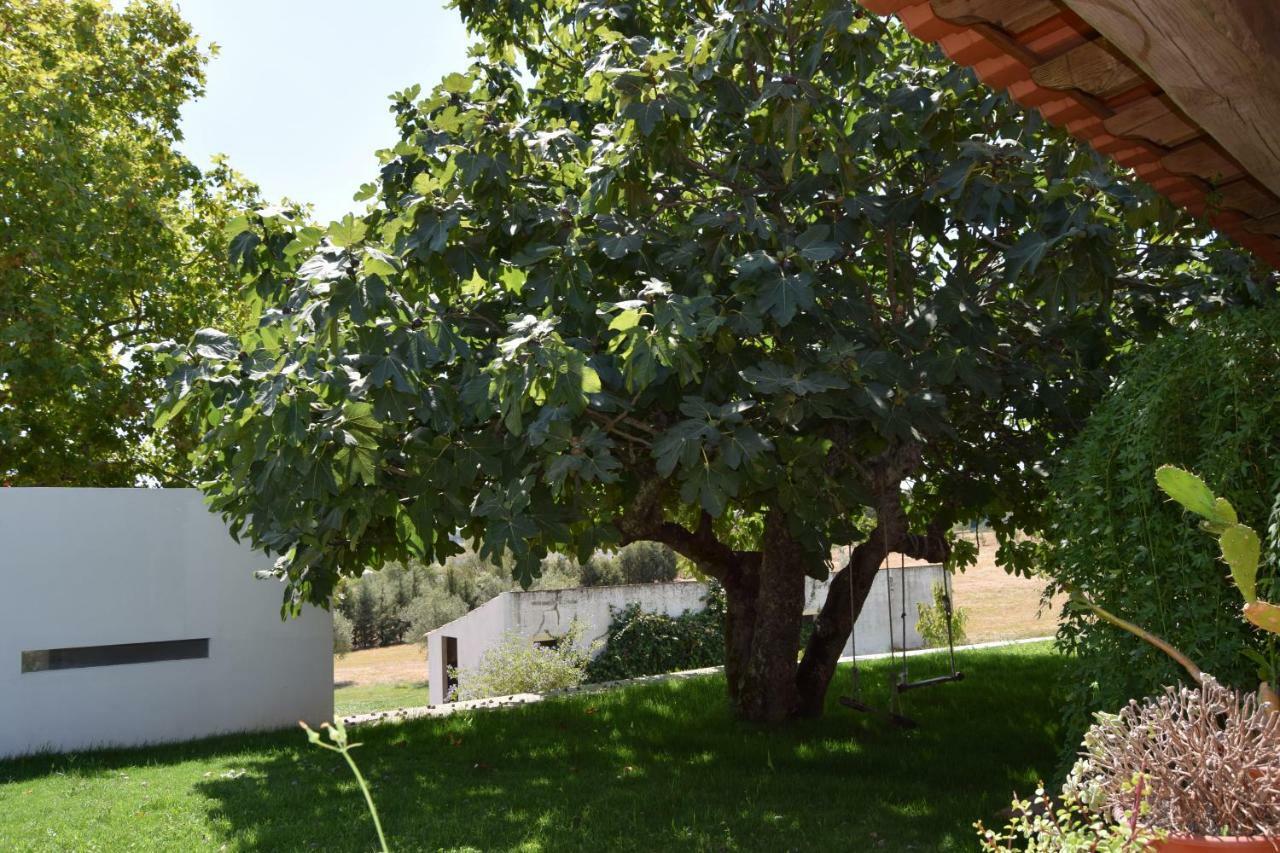Quinta Da Aurora Villa Évora Buitenkant foto